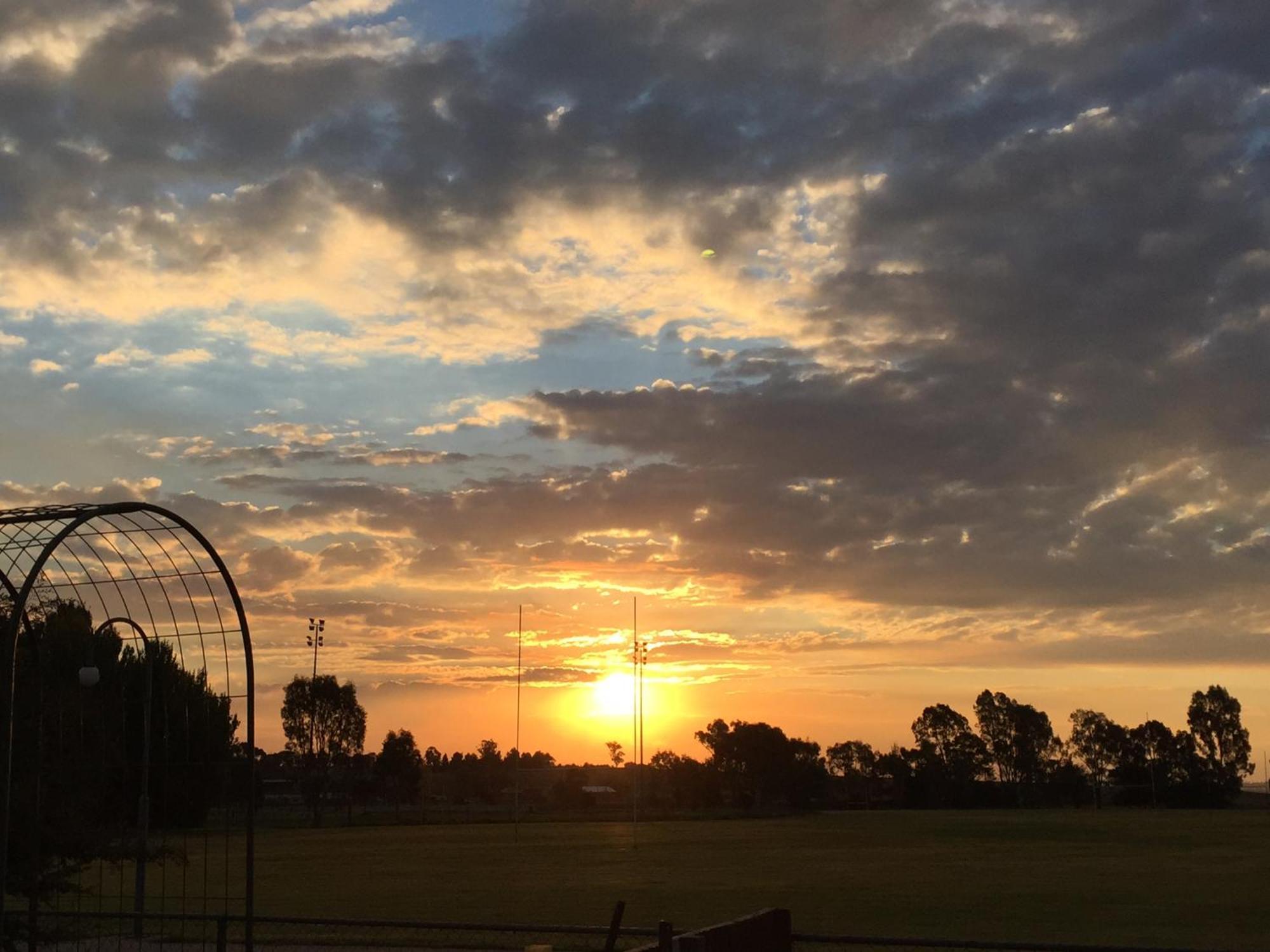 Junee Tourist Park Exterior foto