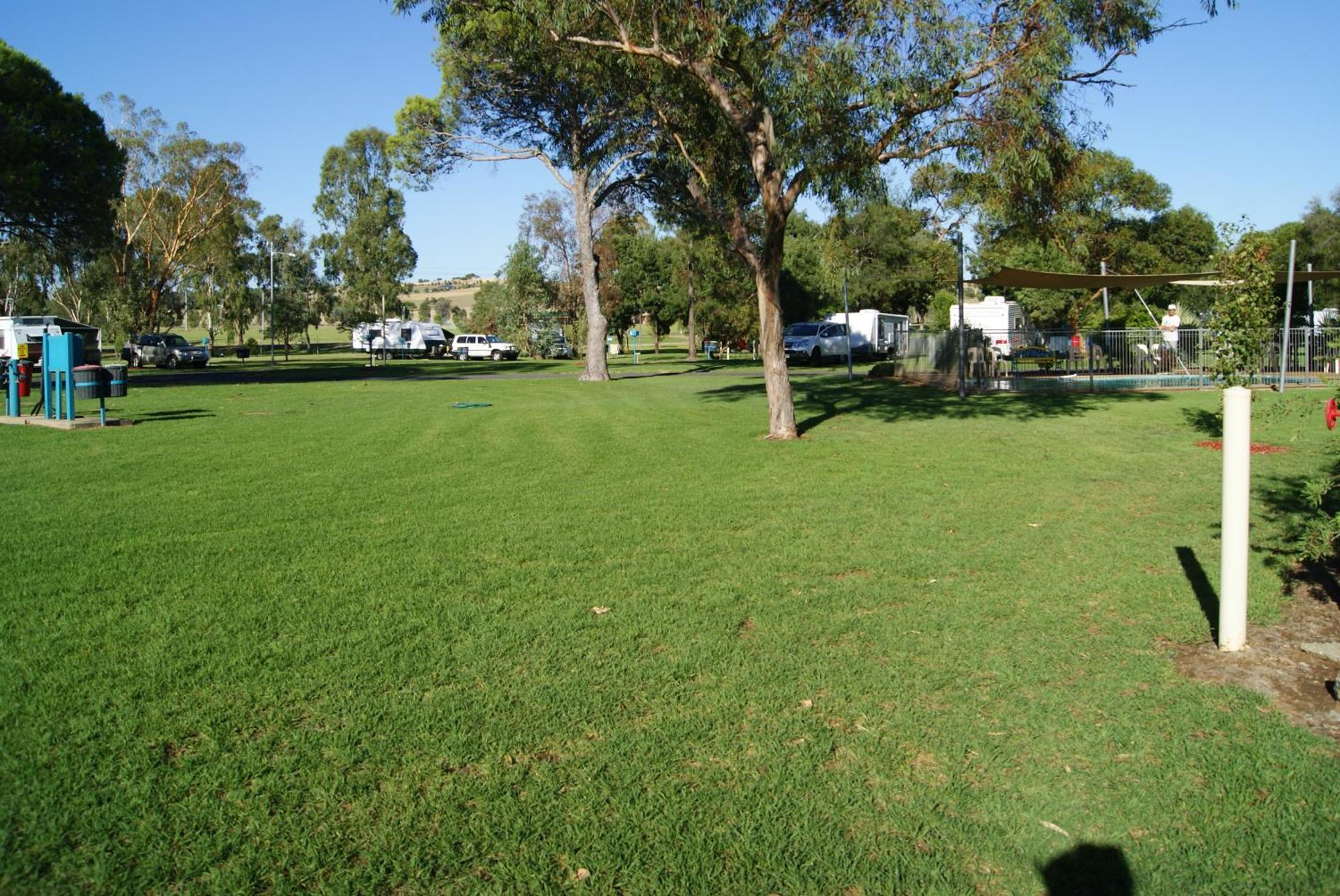 Junee Tourist Park Exterior foto