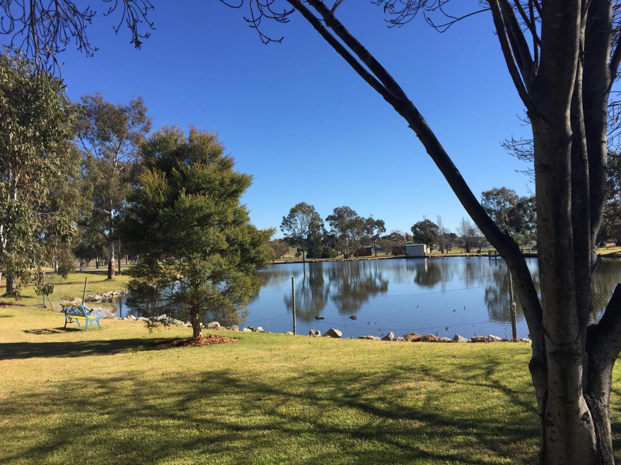 Junee Tourist Park Exterior foto