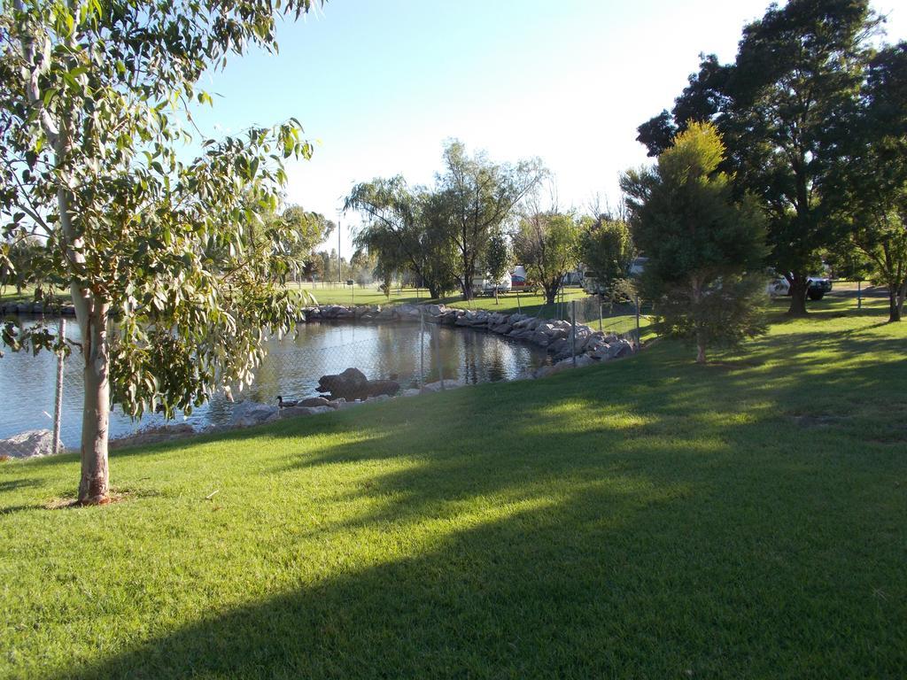 Junee Tourist Park Exterior foto