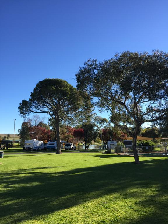 Junee Tourist Park Exterior foto